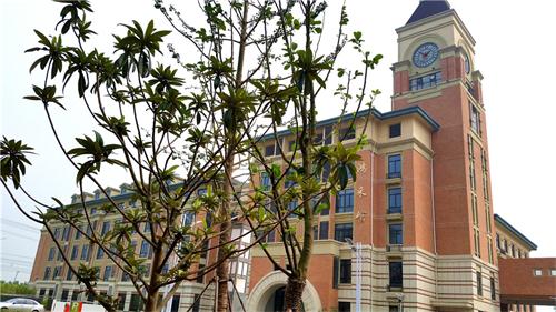 合肥七中高新校區(qū)樓宇、道路、景觀等命名名稱(圖7)