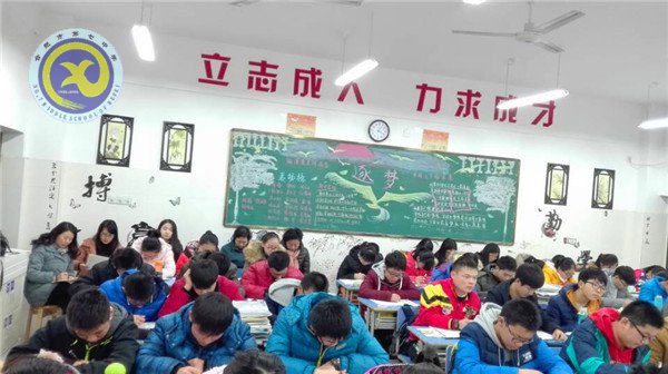 共探閱讀課教學，齊助青年教師成長(圖4)