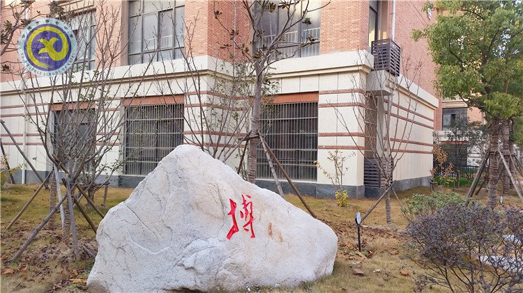 雪園“石頭記”，最美是氣質(zhì)(圖4)