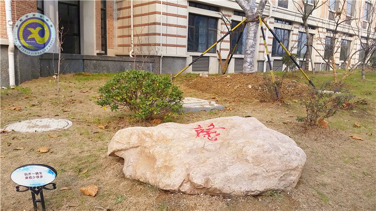 雪園“石頭記”，最美是氣質(zhì)(圖5)
