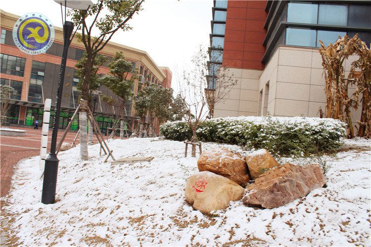 雪園“石頭記”，最美是氣質(zhì)(圖14)