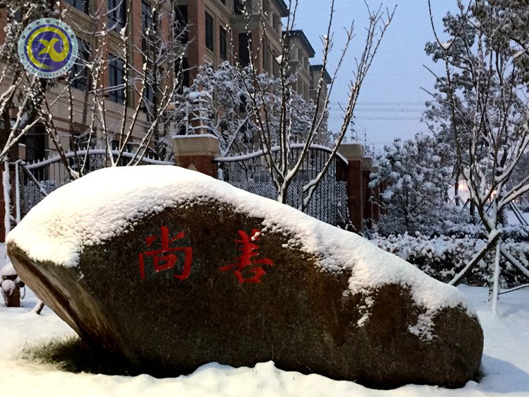 雪園“石頭記”，最美是氣質(zhì)(圖3)