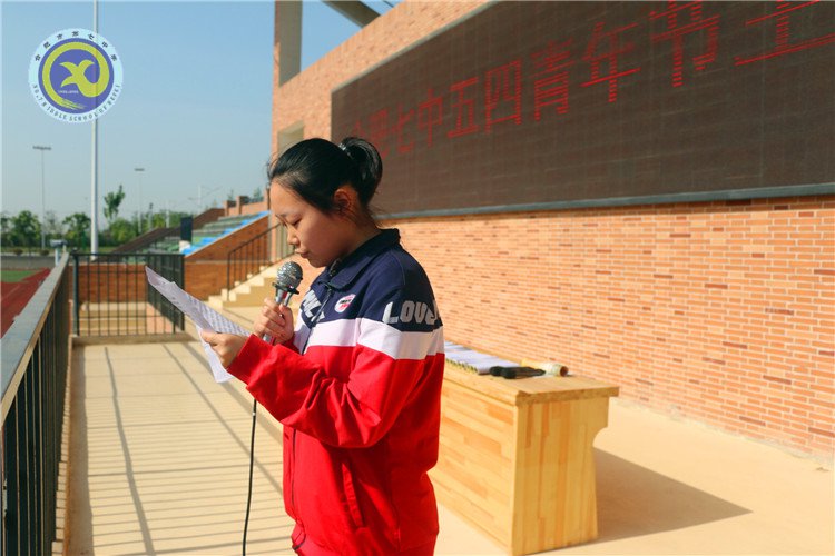 學(xué)共青團團章 學(xué)系列講話 做合格團員(圖4)