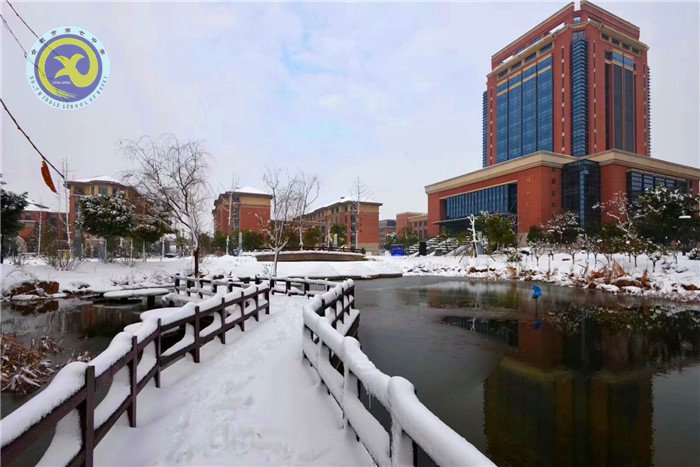 梅雪盼冬來，微笑迎春歸(圖6)