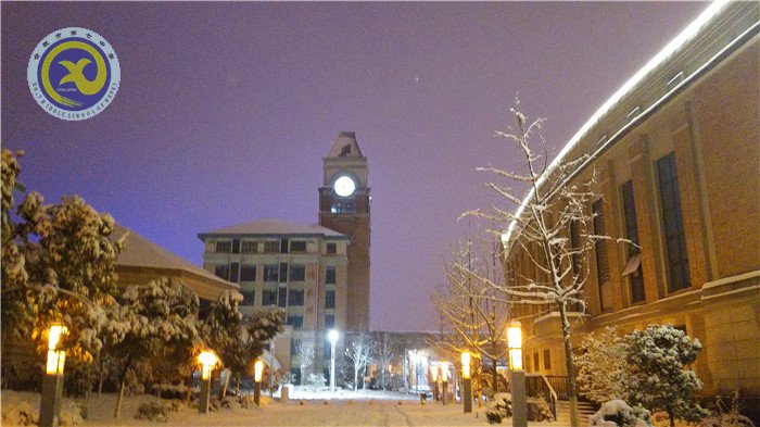 梅雪盼冬來，微笑迎春歸(圖12)