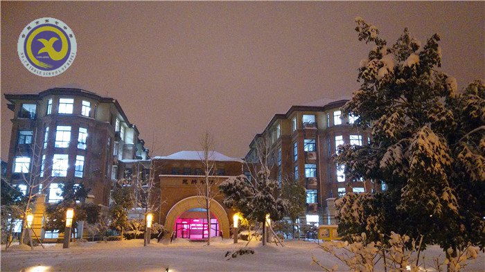 梅雪盼冬來，微笑迎春歸(圖13)