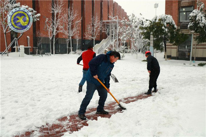 梅雪盼冬來，微笑迎春歸(圖11)