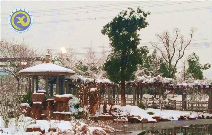 梅雪盼冬來，微笑迎春歸(圖8)