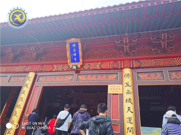 沐浴佛教文化，感受江南春景(圖5)