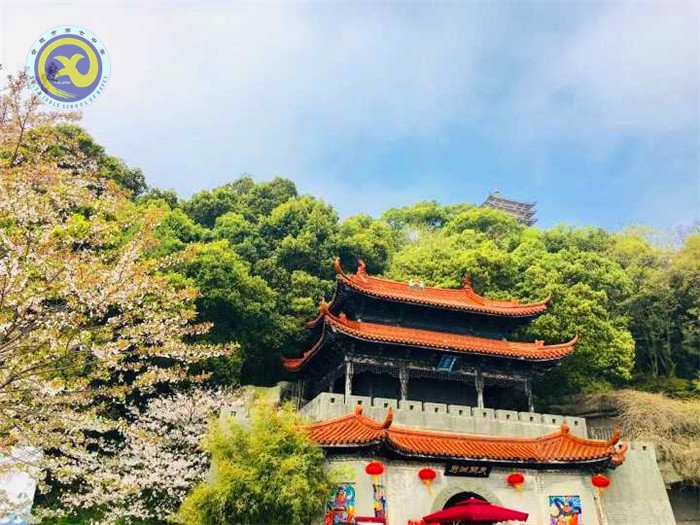 格世間萬物，知自然之理(圖3)