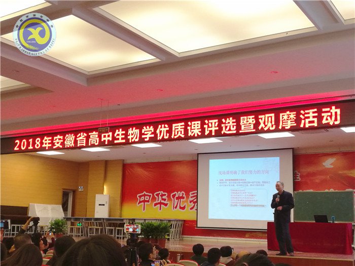 兼收并蓄拓視野，合作教研助成長(圖6)