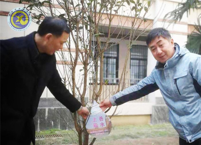 一棵兩棵三棵，棵棵皆成棟梁材(圖7)