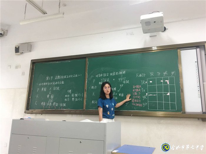 獨(dú)木不成林，集體有力量(圖4)