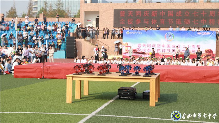 同慶新中國七十華誕 共展體育節(jié)運(yùn)動風(fēng)采(圖16)