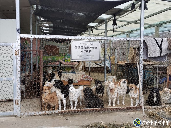 關愛生命，善待動物(圖3)