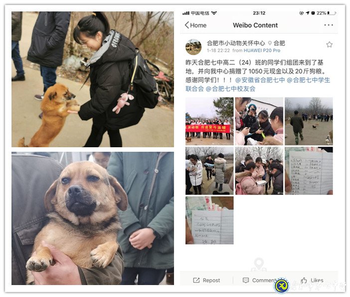 關愛生命，善待動物(圖4)