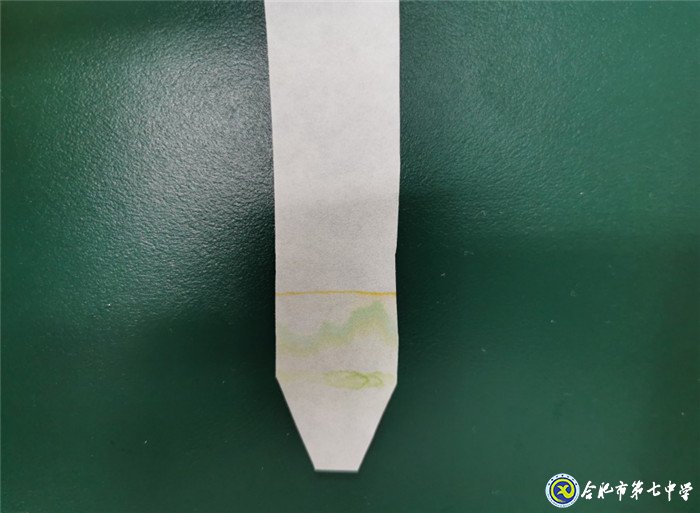 6月24日實(shí)習(xí)手記：暢游知識海洋 感悟?qū)嵙?xí)生活(圖2)