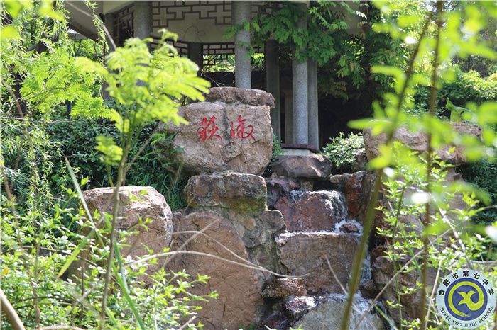 合肥七中、肥西農(nóng)興中學(xué)聯(lián)合倡議書(shū)(圖6)