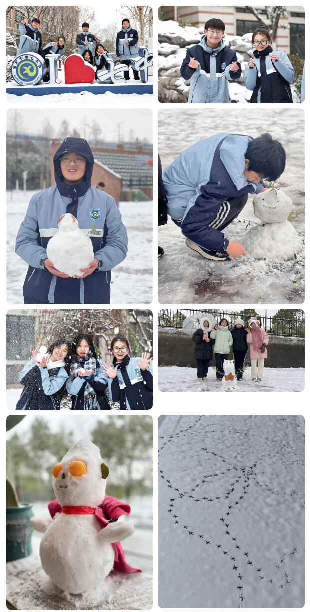 寶藏學(xué)校：每個(gè)人都期待，雪花所帶來(lái)的“活潑潑”的生命(圖9)