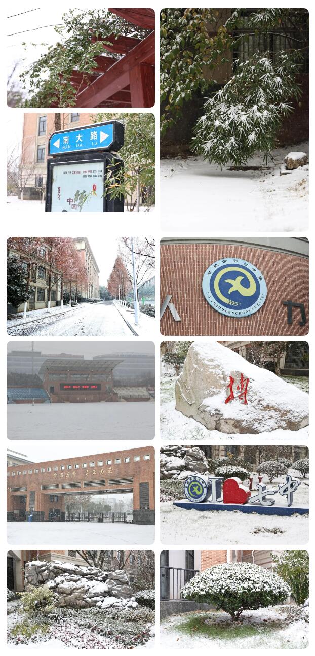 寶藏學(xué)校：每個(gè)人都期待，雪花所帶來(lái)的“活潑潑”的生命(圖5)