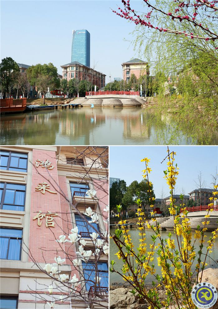 七中游，春日繽紛花滿頭(圖1)