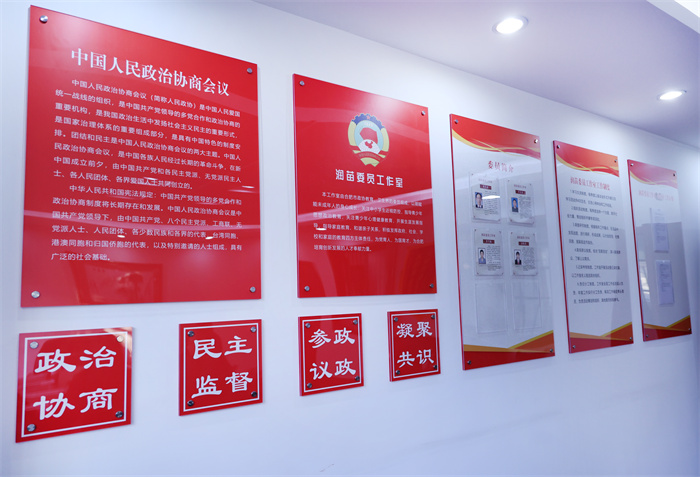 合肥七中高二年級順利開展模擬政協(xié)系列活動(dòng)(圖7)